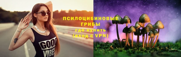 гидра Нефтекумск