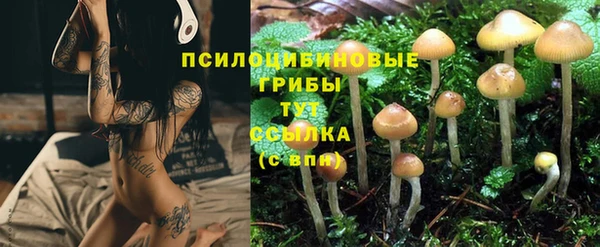 марихуана Новозыбков