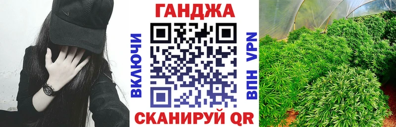 Марихуана план  Кедровый 